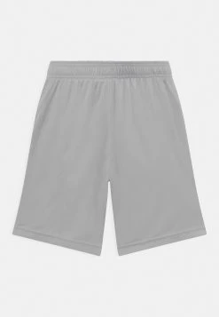 Under Armour PROTOTYPE LOGO - Krótkie Spodenki Sportowe - Grey